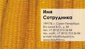 Бесплатный макет визитки свежая кукуруза