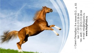 Макет визитки для конно-спортивного клуба