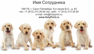 Макет визитки для заводчика собак