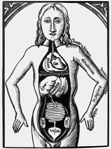 рисунок из книги по анатомии XVI века