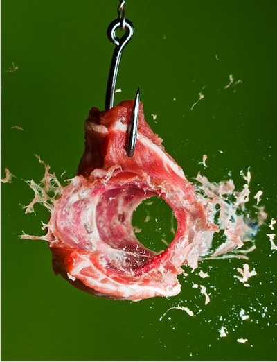 кусочек мяса после прохождения пули