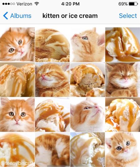 котенок или мороженое 