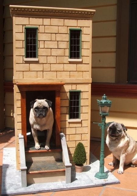 двухэтажный домик для собаки