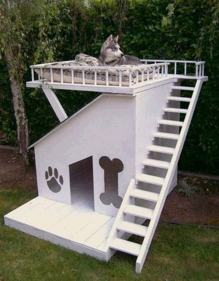 домик для собаки со смотровой площадкой