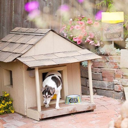 простой домик для собаки