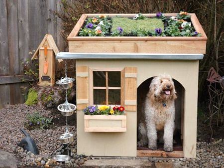 собачий домик с цветником