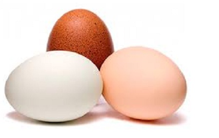 окраска яйца